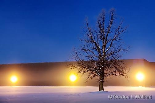 Tree In First Light Fog_04931.3.jpg - Photographed at Smiths Falls, Ontario, Canada.